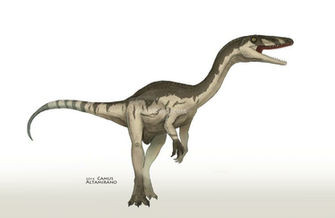Best Coelophysis Wallpaper