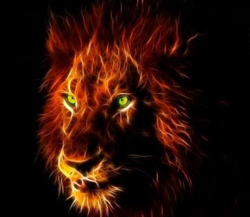 3d Lion HD Wallpaper5 I M Dangerous When Focused