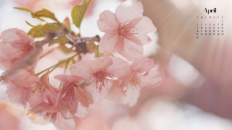 April Wallpaper Best Desktop Phone Background