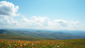 Wallpaper Background