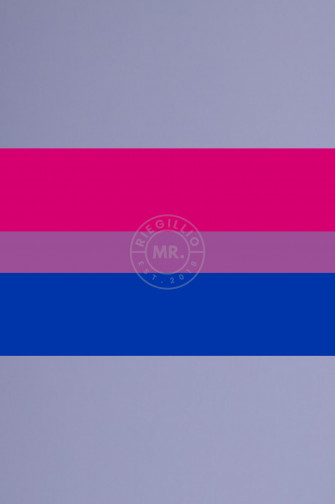 Bisexual Flag 90cm X 150cm At Mr Riegillio