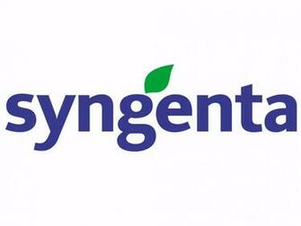 Syngenta Brandstock