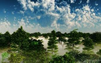 Clouds Trees Forest Mist Blue Skies Wallpaper Background
