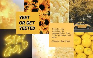 Yellow Aesthetic Wallpaper HD Net