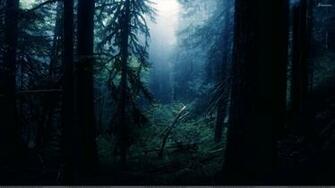 Jungle Scene At Night Wallpaper