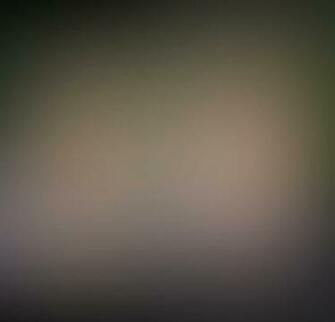 Best Blur Background App Compare The Top Apps
