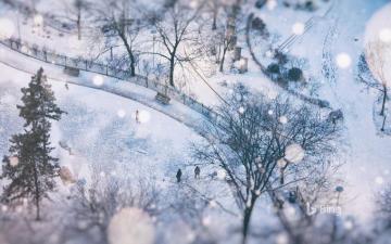 Snowy Day In Toronto Canada Bing Wallpaper Sonu Rai