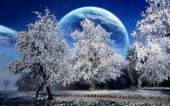 Wallpaper Nature Flowers Winter Tale Widescreen High