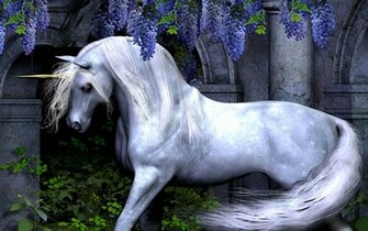Unicorn Wallpaper High Definition Quality Widescreen
