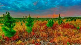 Awesome Nature Wallpaper High Definition