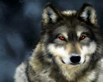 Wolf Wolves Wallpaper