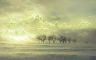 Windy Day Wallpaper Wide HD Desktop Cool