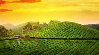 Kerala Nature Wallpaper Widescreen HD