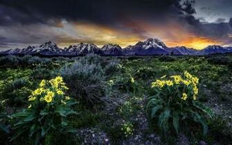 Grand Teton National Park High Quality And Resolution