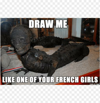 Haha Meme Png Image With Transparent Background Toppng