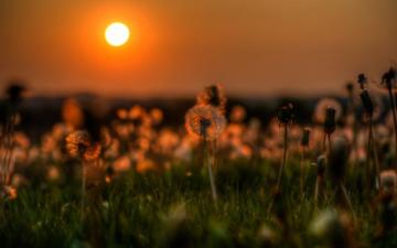 Mood Wallpaper Asl53m5 4usky For Your