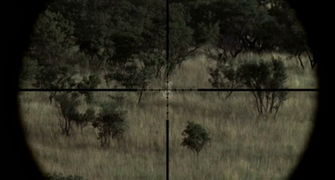 Sniper Riffles