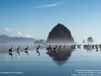 Wallpaper HD De National Geographic