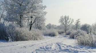 Winter Landscape Wallpaper