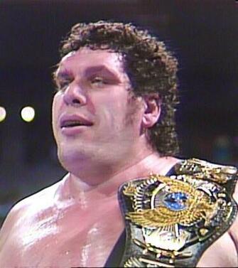 Andre The Giant Wwe Superstars Wallpaper Ppv S