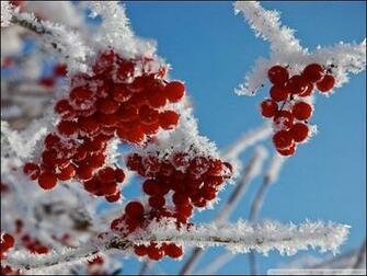 Amazing Chilly Winter Wallpaper Creative Cancreative Can
