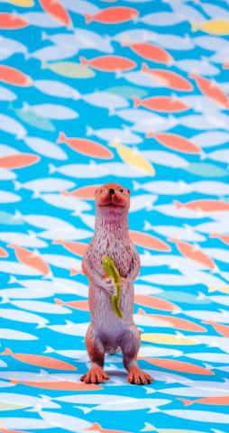 iPhone Otter Parallax Wallpaper