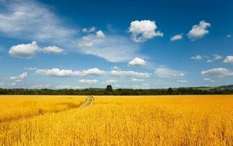 Wallpaper Windows Xp Desktop