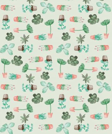 Succulents Cactus Botanical Wallpaper Milton King