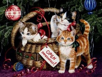Cat Lovers Christmas Wallpapaer Pictures Of Cats