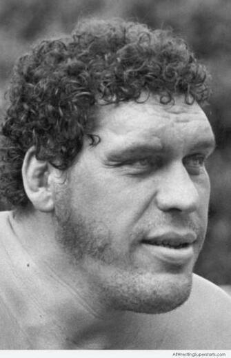 Andre The Giant Wwe Superstars Wallpaper Ppv S