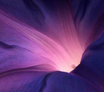 Xperia Z2 Wallpaper