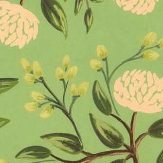 Home Printed Paper Casual Prints Rifle Emerald Peonies