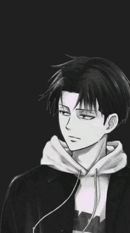 Ackerman Levi Attack On Titan