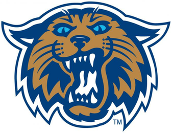Villanova Logo Wildcats