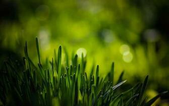 Collection Great Pictures Pure High Definition HD You Can