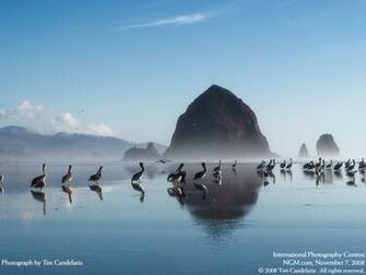 Wallpaper HD De National Geographic
