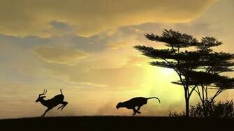 Category Nature HD Wallpaper Subcategory Sunsets