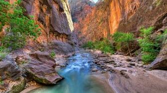 Nature Wallpaper Archives Getwall Net