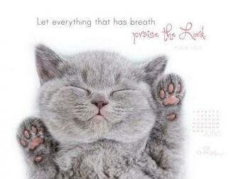 Praise The Lord Wallpaper Christian June