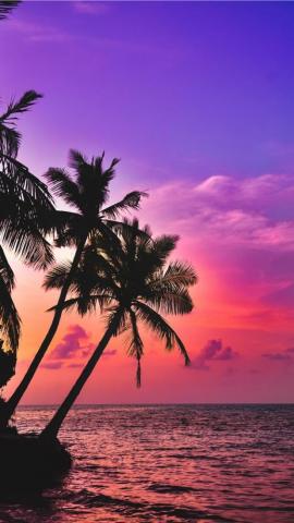 Best Vacation iPhone HD Wallpaper