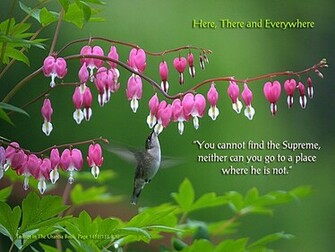 Tao Quotes Wallpaper