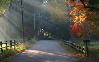 Autumn Morning Desktop Pc And Mac Wallpaper