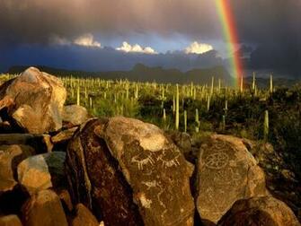 Saguaro National Park Old Spanish Trail Tucson Arizona