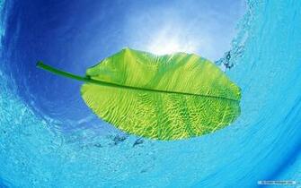 Nature Wallpaper Clear Water And Blue Sky