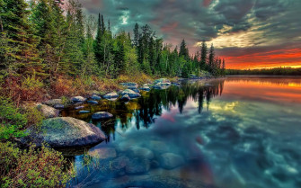 Forest Lake Wallpaper