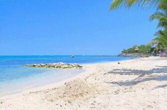 Mexico Tropical Pcean Shoreline Sunny Nature Blue Palm Cozumel