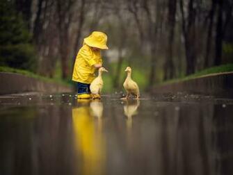 Situation Child A Yellow Raincoat Birds Geese Animal Reflection