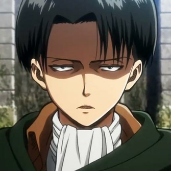Captain Levi Meme Memes