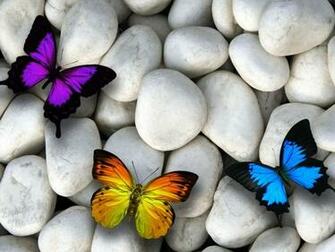 Beautiful Nature 3d HD Image And Photos Wallpaper For