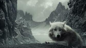 Lobo Wallpaper Full HDq Pictures And